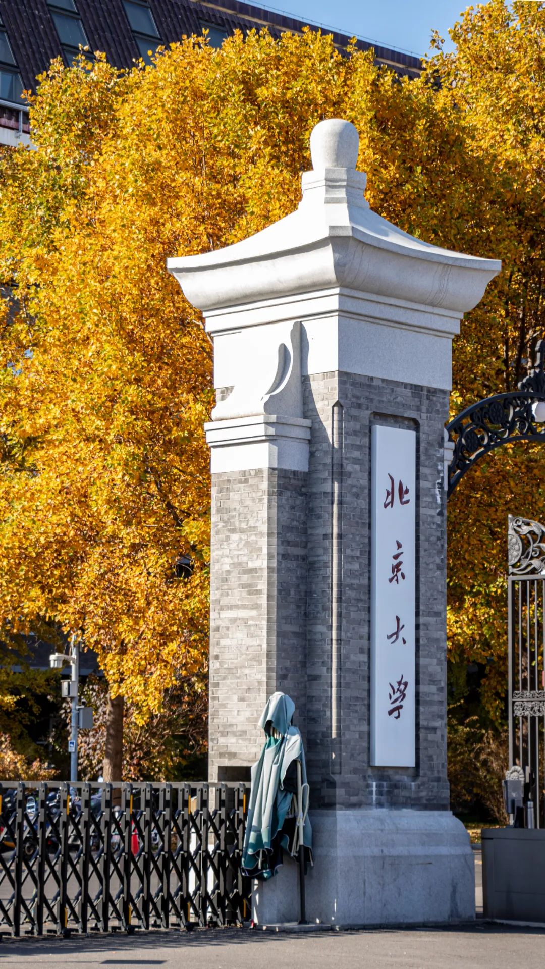 北京大学校门手机壁纸图片