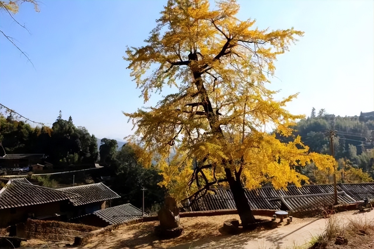 永泰最美古村落图片