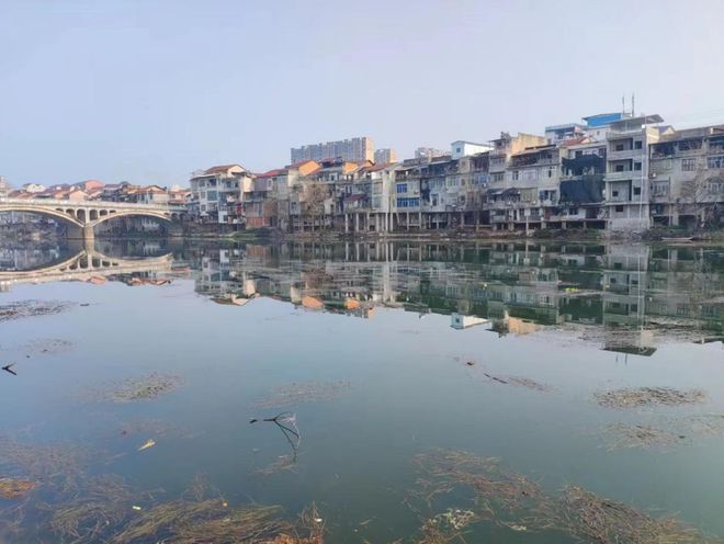 桃源县漆河镇:"清河"行动保绿水,生态健康乡村美