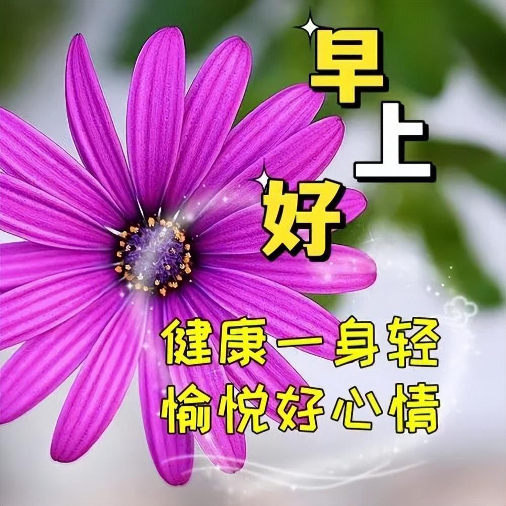 早上好字体艺术图片