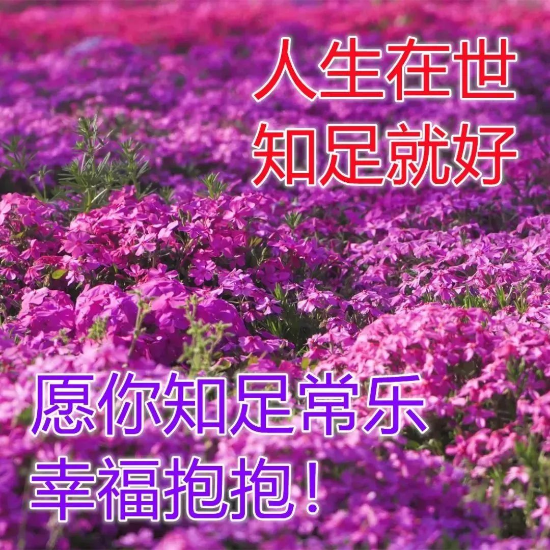 星期六群發早上好表情包祝福圖片動態表情大全