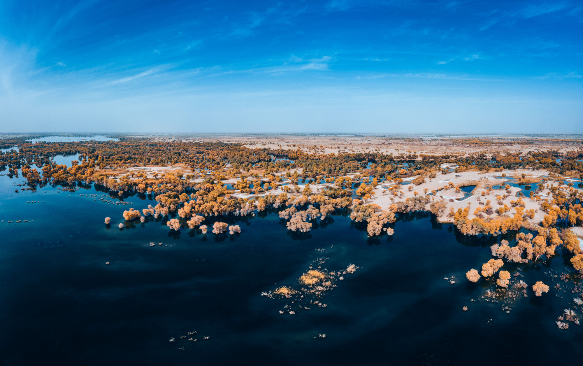 塔里木河湿地公园