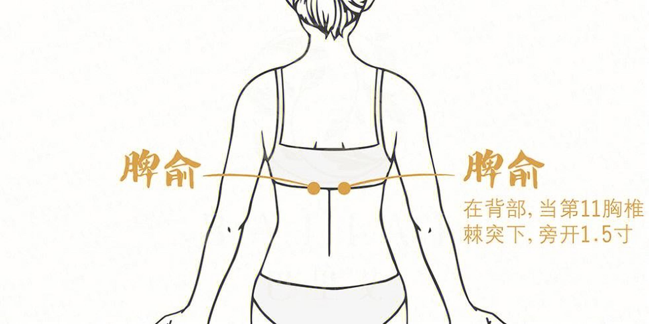 脾俞穴  脾俞穴是脾脏的经气输注于背部的位置,和脾直接相连,所以按摩