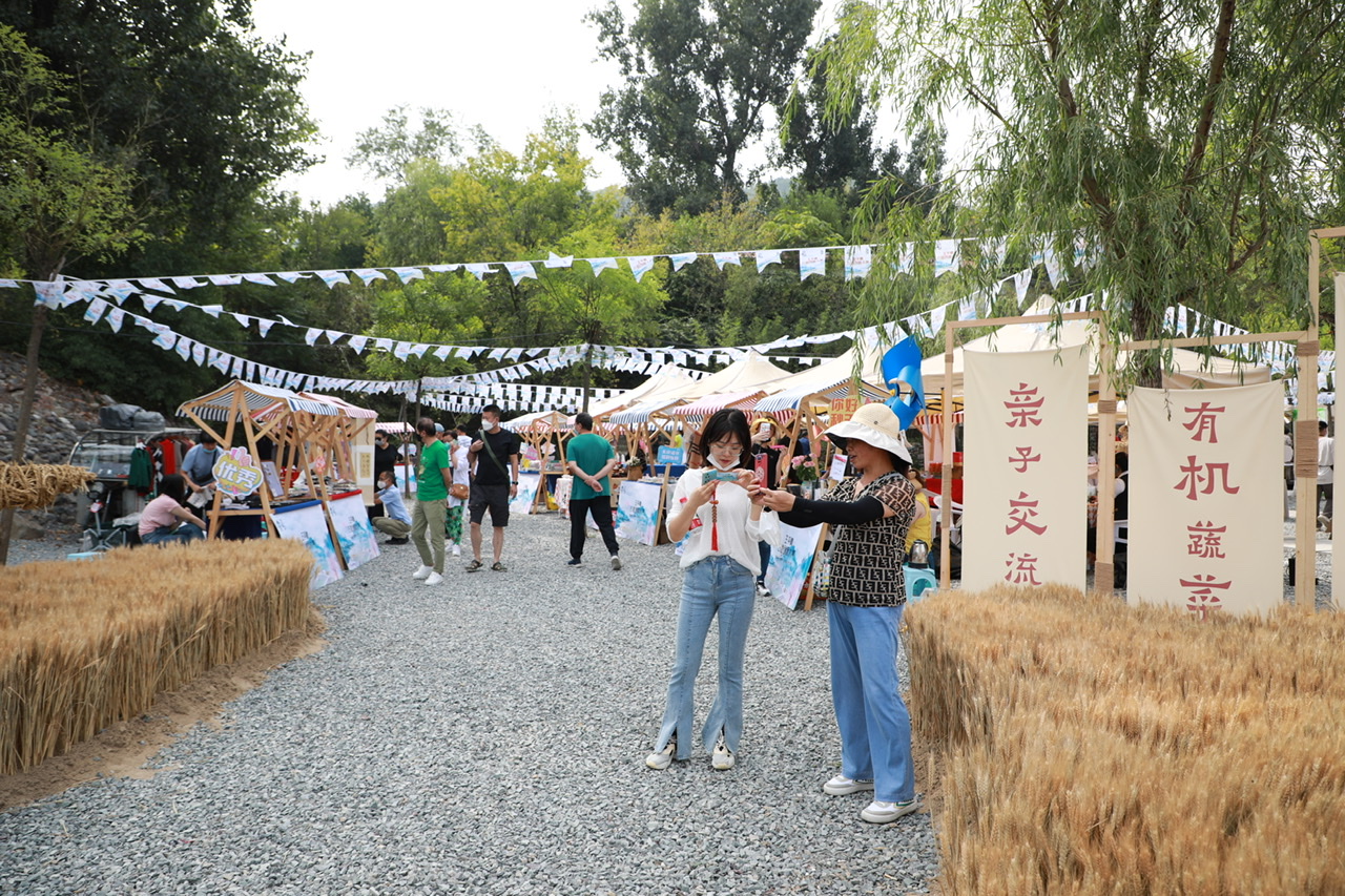 门头沟王平村大集图片