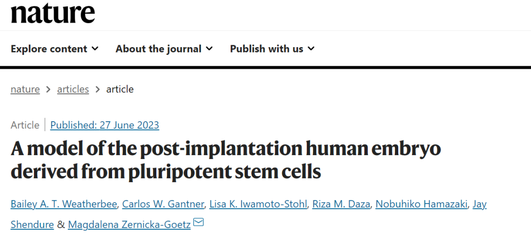 nature背靠背|着床后人类胚胎模型