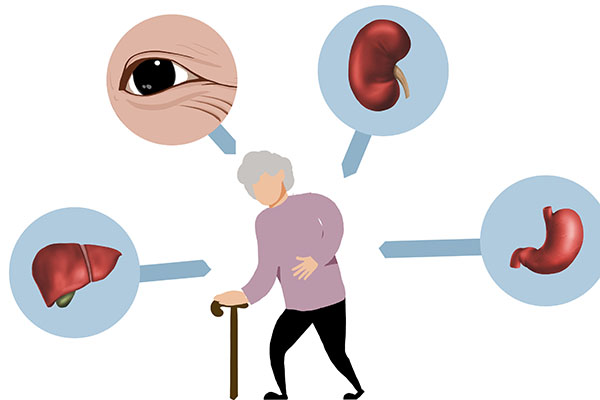 研究證明:人體器官衰老速度是不同的,究竟哪個器官衰老最快?