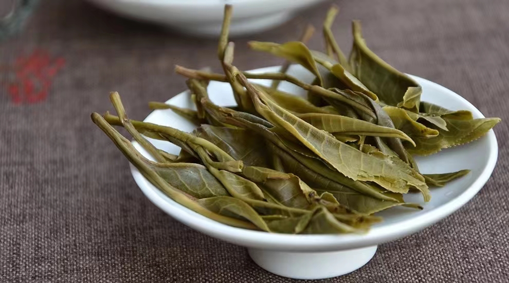 古树卖掉中小树积压消费降级把虚高的茶价打回原形