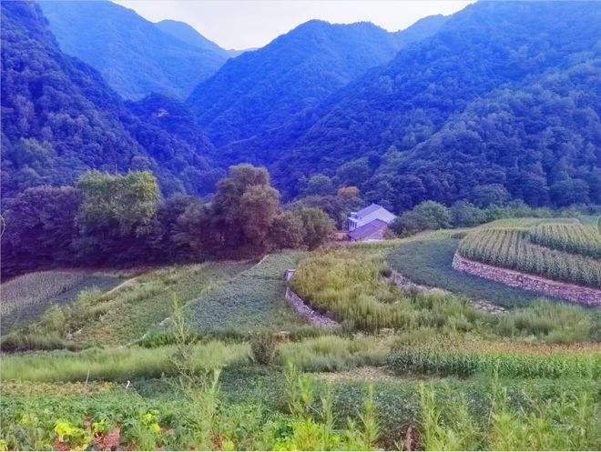 陕师大刘国欣:不 遇