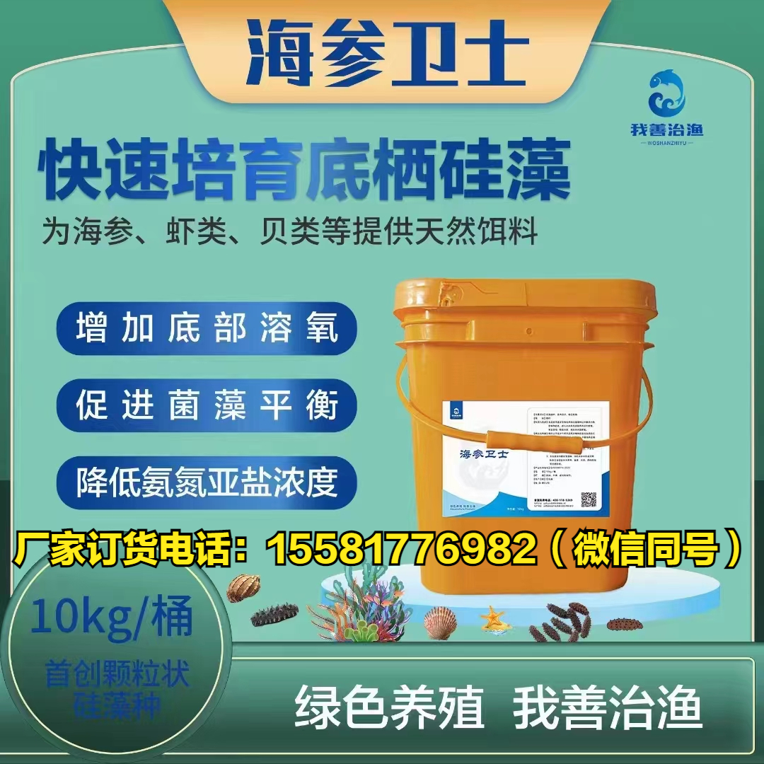 「鱼类海参专题」辽中地区开春投喂和海参池塘管理