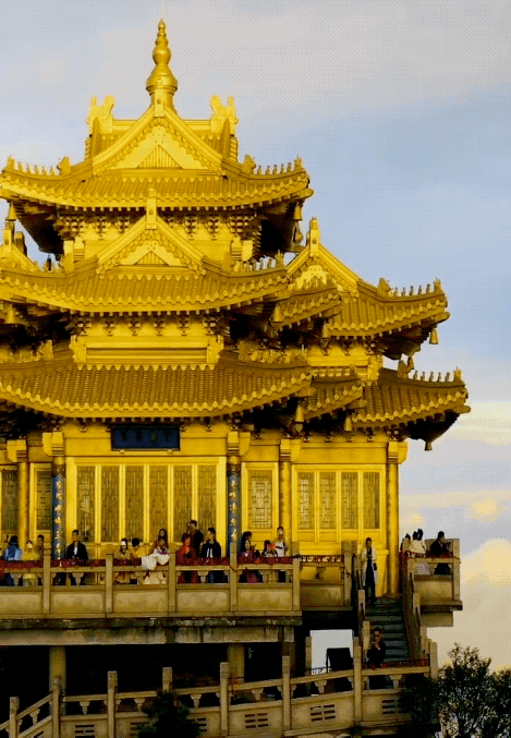 469_677竖版 竖屏gif 动态图 动图