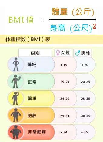 bmi标准范围图片