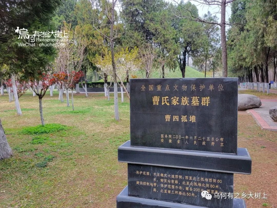 曹四孤堆,尚未发掘的四联排曹魏大墓,墓主和曹操什么关系?