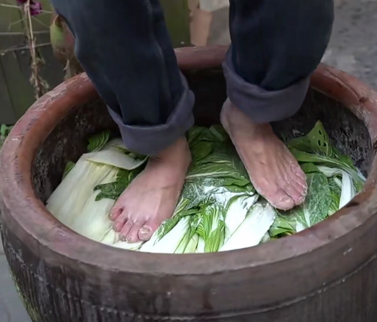 老坛酸菜用脚踩图片