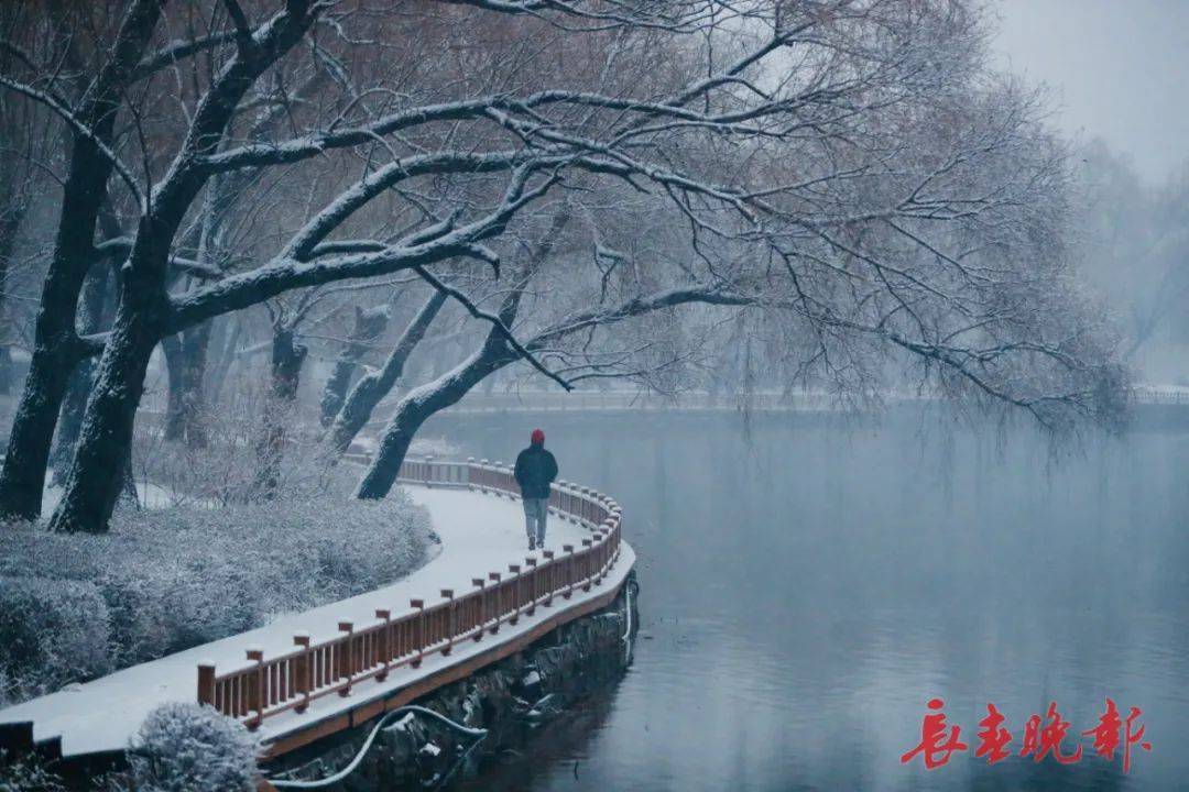 长春今天雪景图片图片