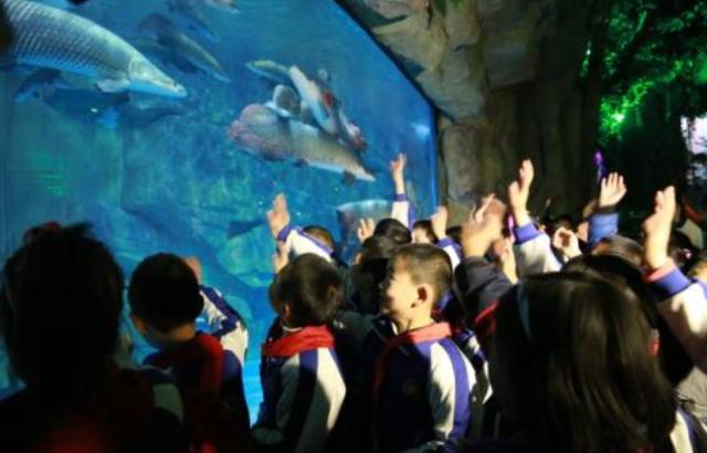 王昱珩让女儿小学就寄宿,理由是学校有猴子!了解动物真那么重要