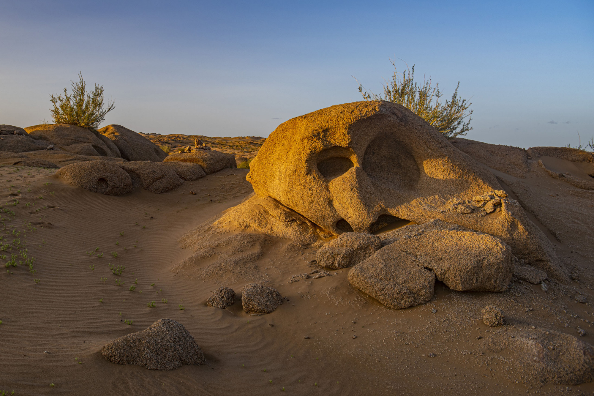 为什么在沿海地区和内陆地区,都会形成蜂窝状的"盐风化地貌"?