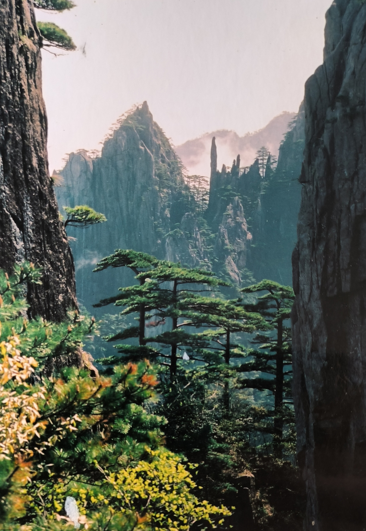 盛世中华 复兴有您——中国当代艺术名家 于仲仁(摄影作品)