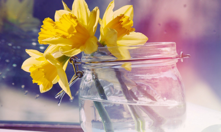 《美貌是长久之计》:"快来找我.我会给你无穷无尽的钱.