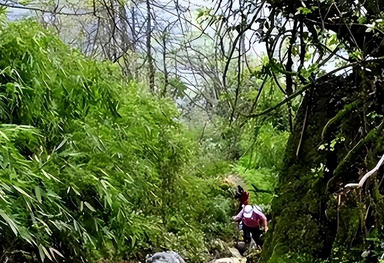 回顾四川黄泉路被政府封禁400年成一级禁区谜团至今无人能解
