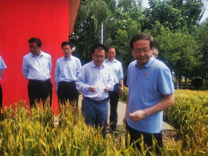 市委副书记曾垂瑞调研宛城区麦田管理及三夏生产准备工作