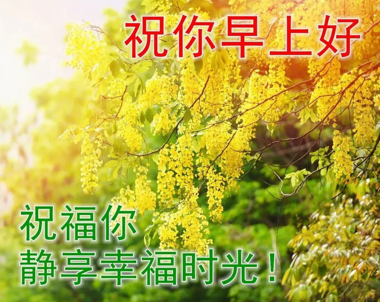 最美丽早安问候语图片带字温馨,暖心早上好图片表情祝福语录 1,微笑