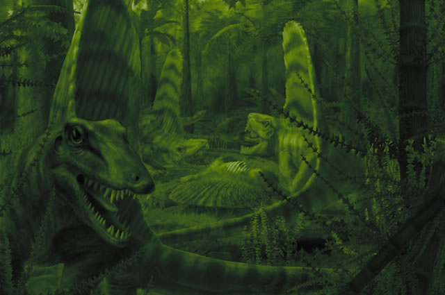 全球最早的草本被子植物—1.64亿年前的渤大侏罗草