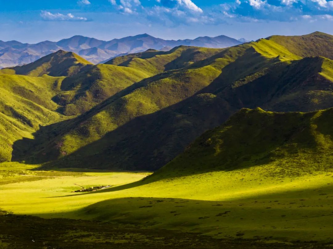 绿意盎然的自驾之旅:探秘甘南安果阿米贡洪景区
