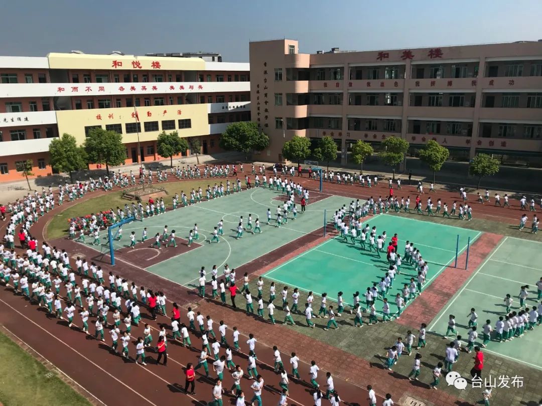 台山中心小学图片