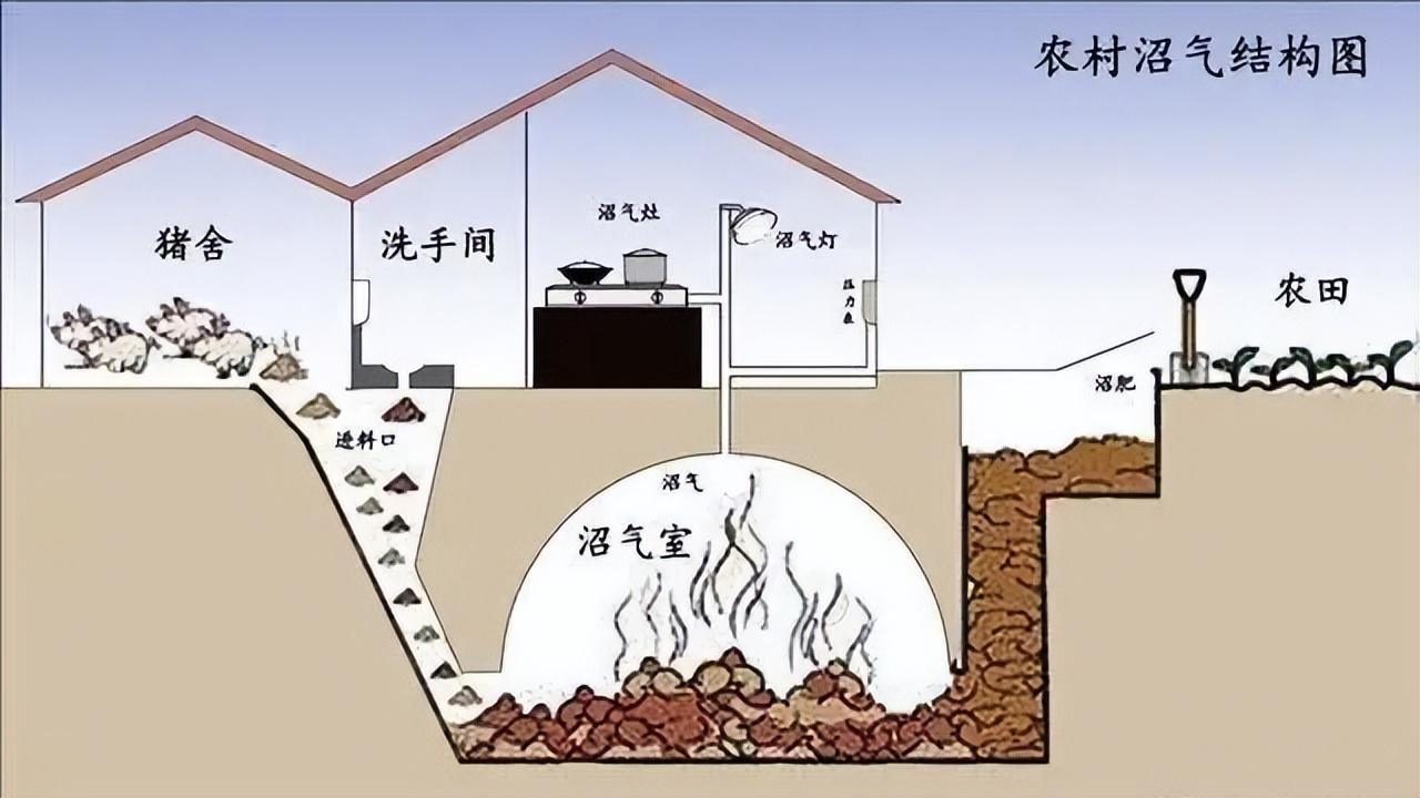 十几年前,曾经风靡农村的沼气池,为什么现在基本没人用了?