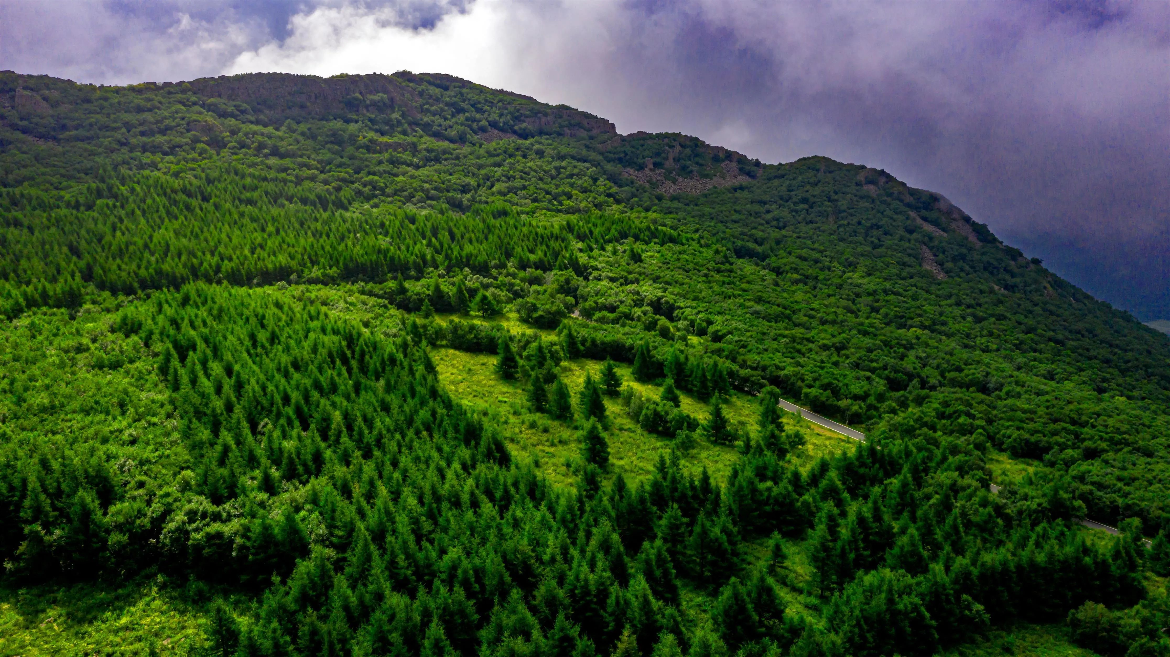 绿色"净土"生态突泉——突泉县积极践行"绿水青山就是金山银山"理念