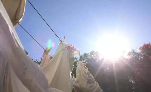 九成人不知道螨虫最怕什么?不是暴晒,教你个小窍门,螨虫消失了