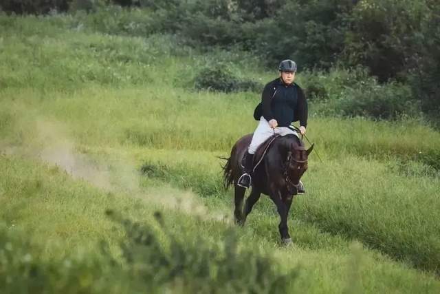 孙洪光马术教练对教练的思考,正在找教练的你必看,受益一生