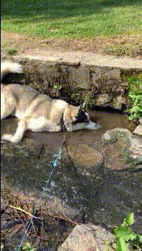 "沙雕微商到底多能吹?"哈哈哈,千万别屏蔽,每一条都是笑点