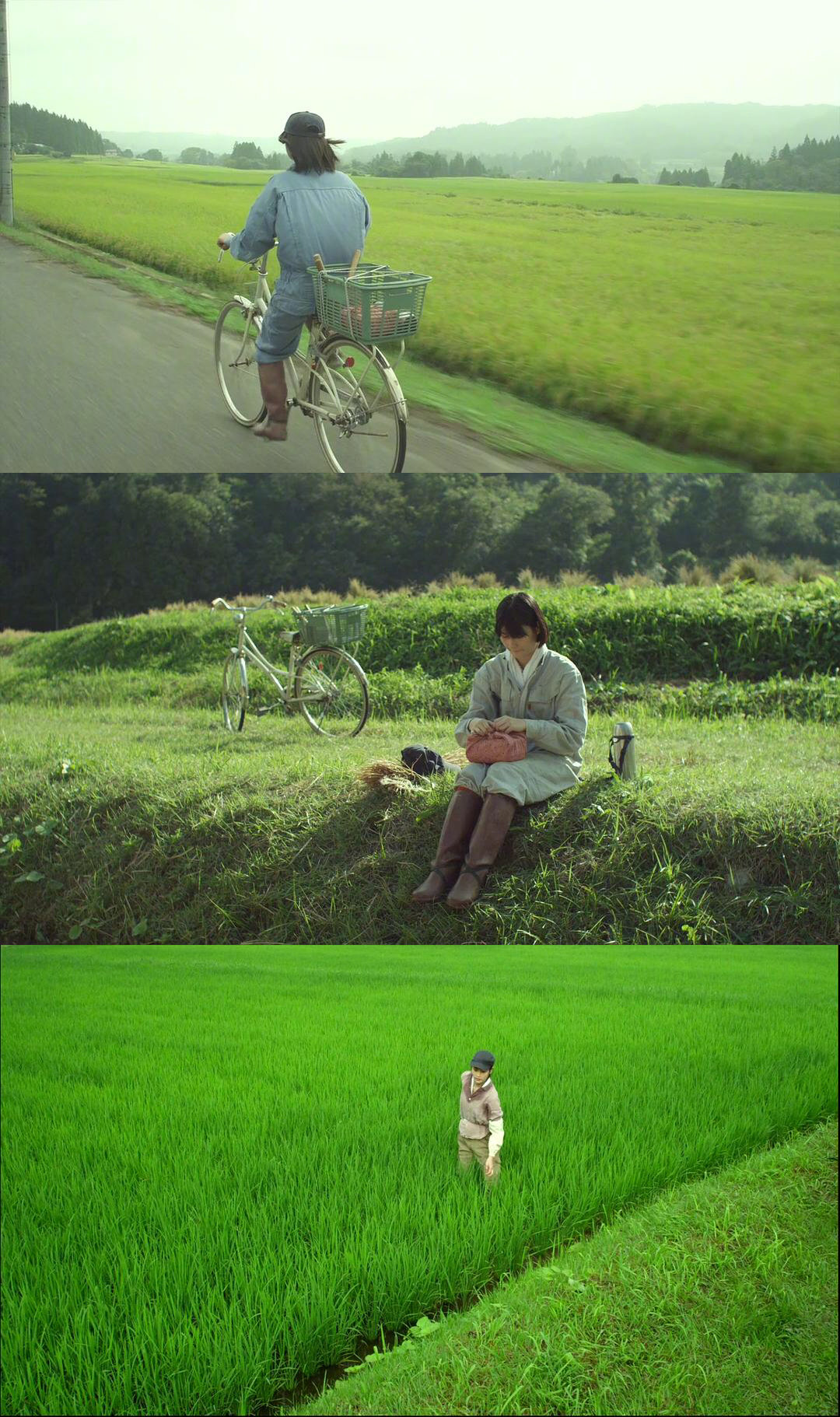 今日电影推荐:《小森林》——带你进入理想的田园生活