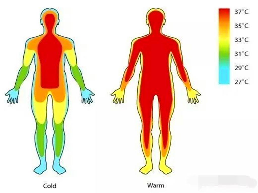 不再是37℃!多项研究发现:人类体温一直在下降,什么原因?