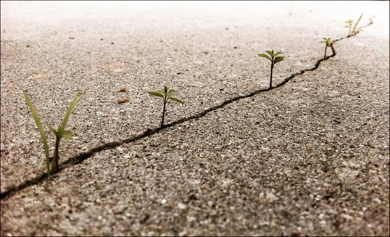 办公室主任如何在领导们的夹缝中求生存