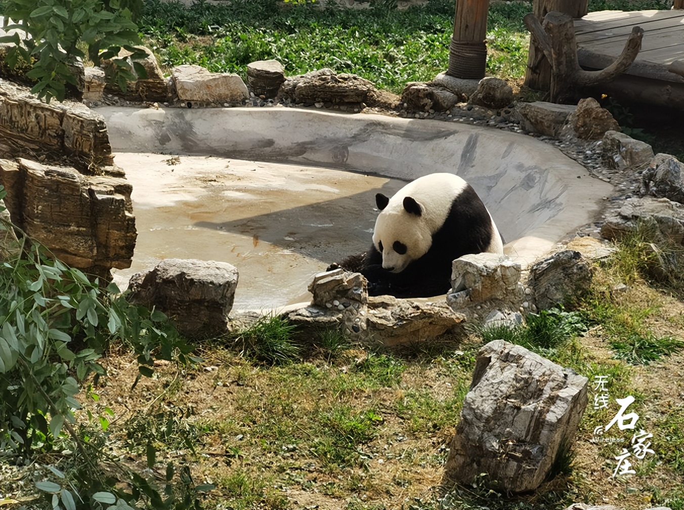 石家庄老动物园图片