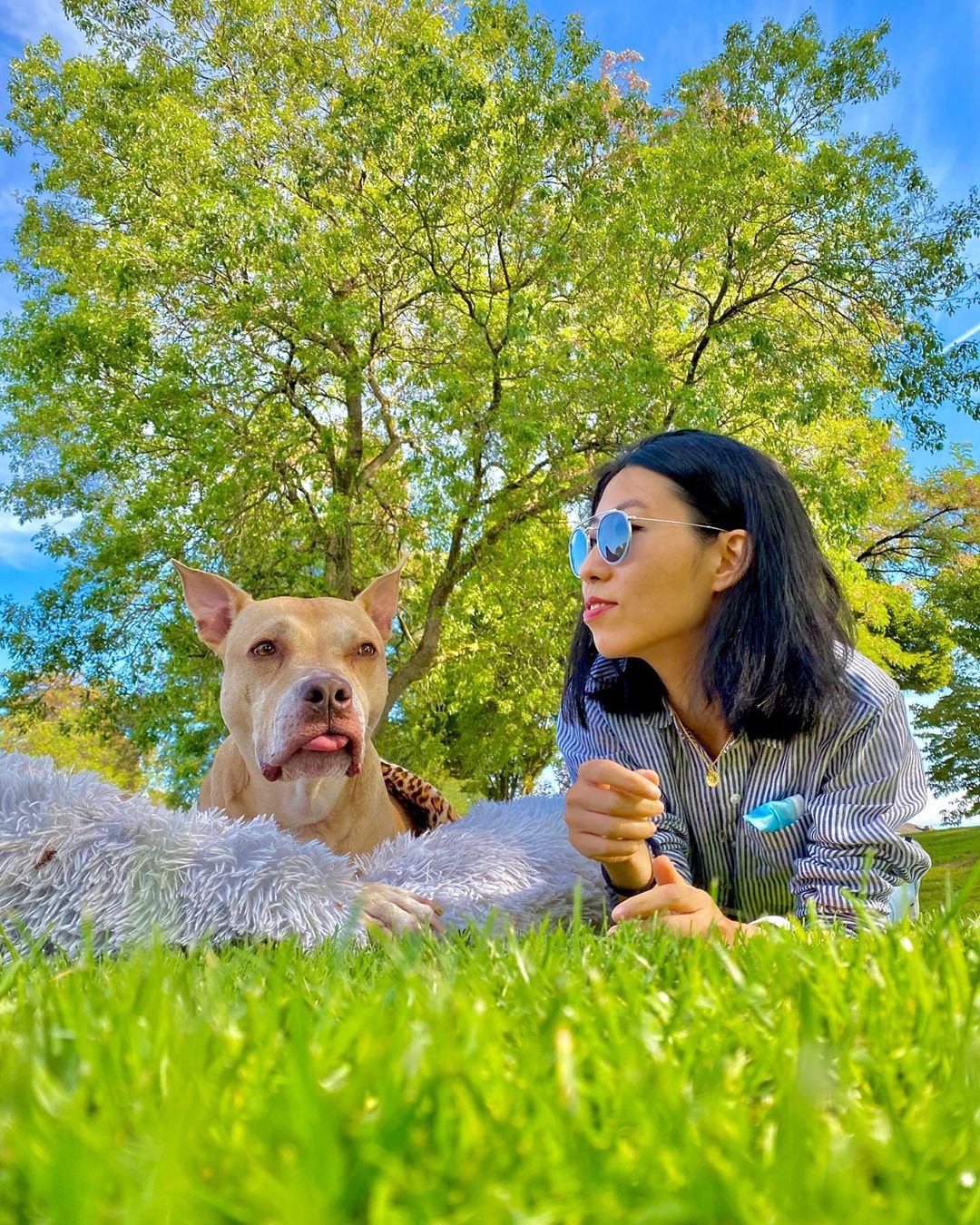 远走加拿大的曲婉婷好生惬意,比基尼秀身材,"病号服"沐浴阳光