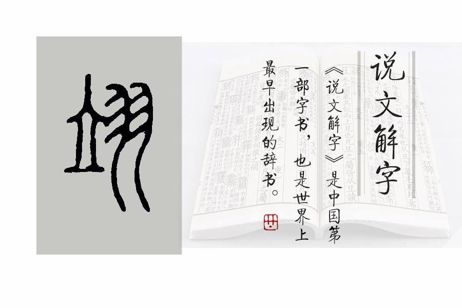 《说文解字》第696课:"翱翔"的"翱"是什么意思?