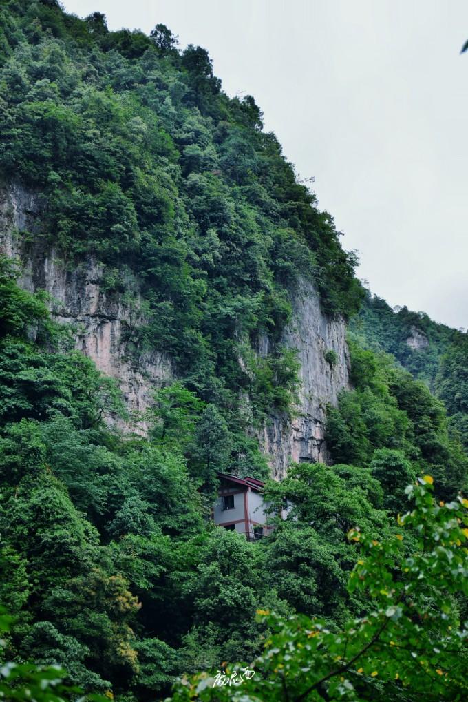 九十九道拐,峨眉山的天梯