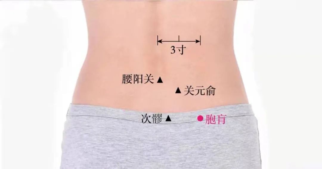 穴位知识:胞肓,平膀胱俞,能清热利湿,通调二便
