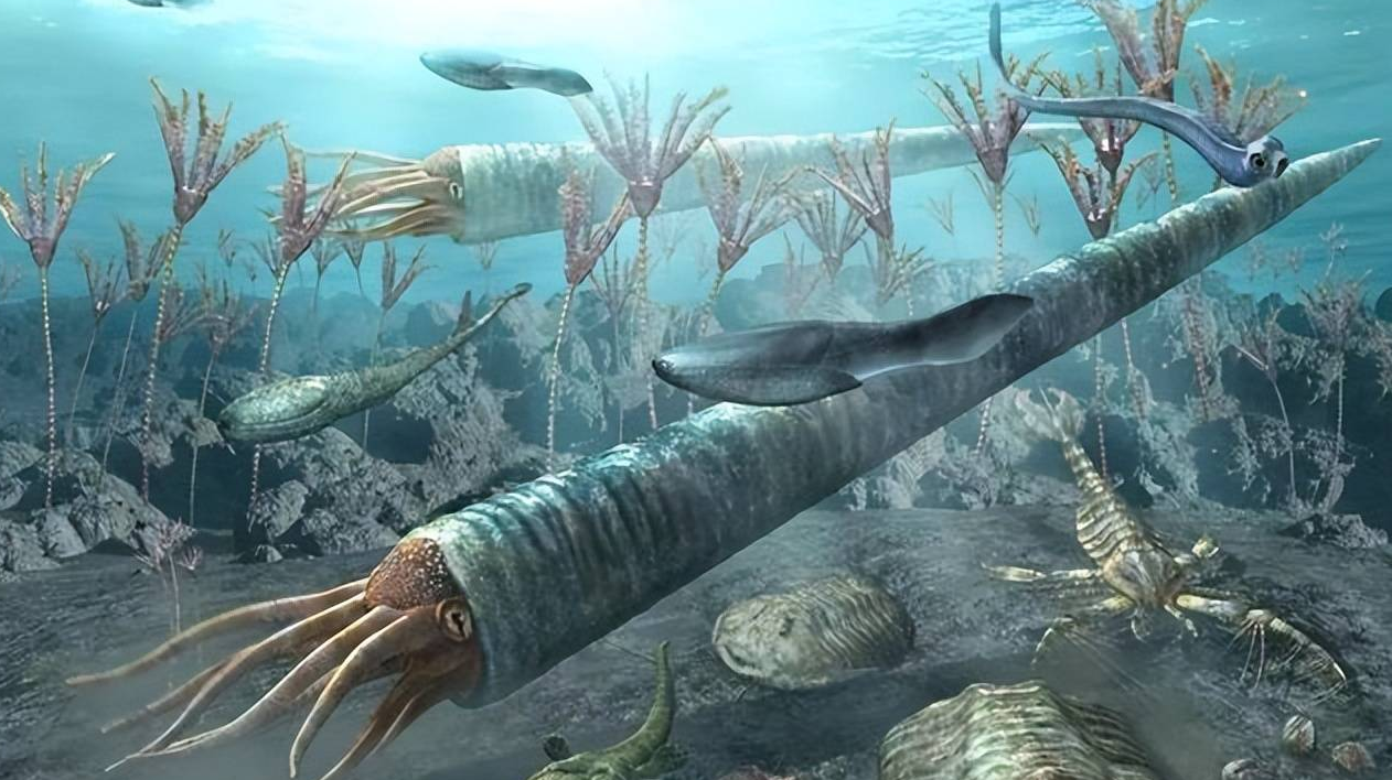 54亿年前的奇迹:揭开寒武纪生命大爆发的秘密