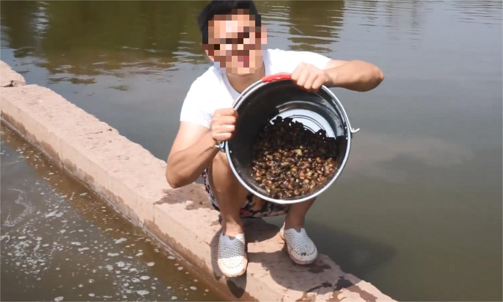 案例回顾:1000多斤4万多块钱!夫妻深夜下河捞田螺,被警方刑拘