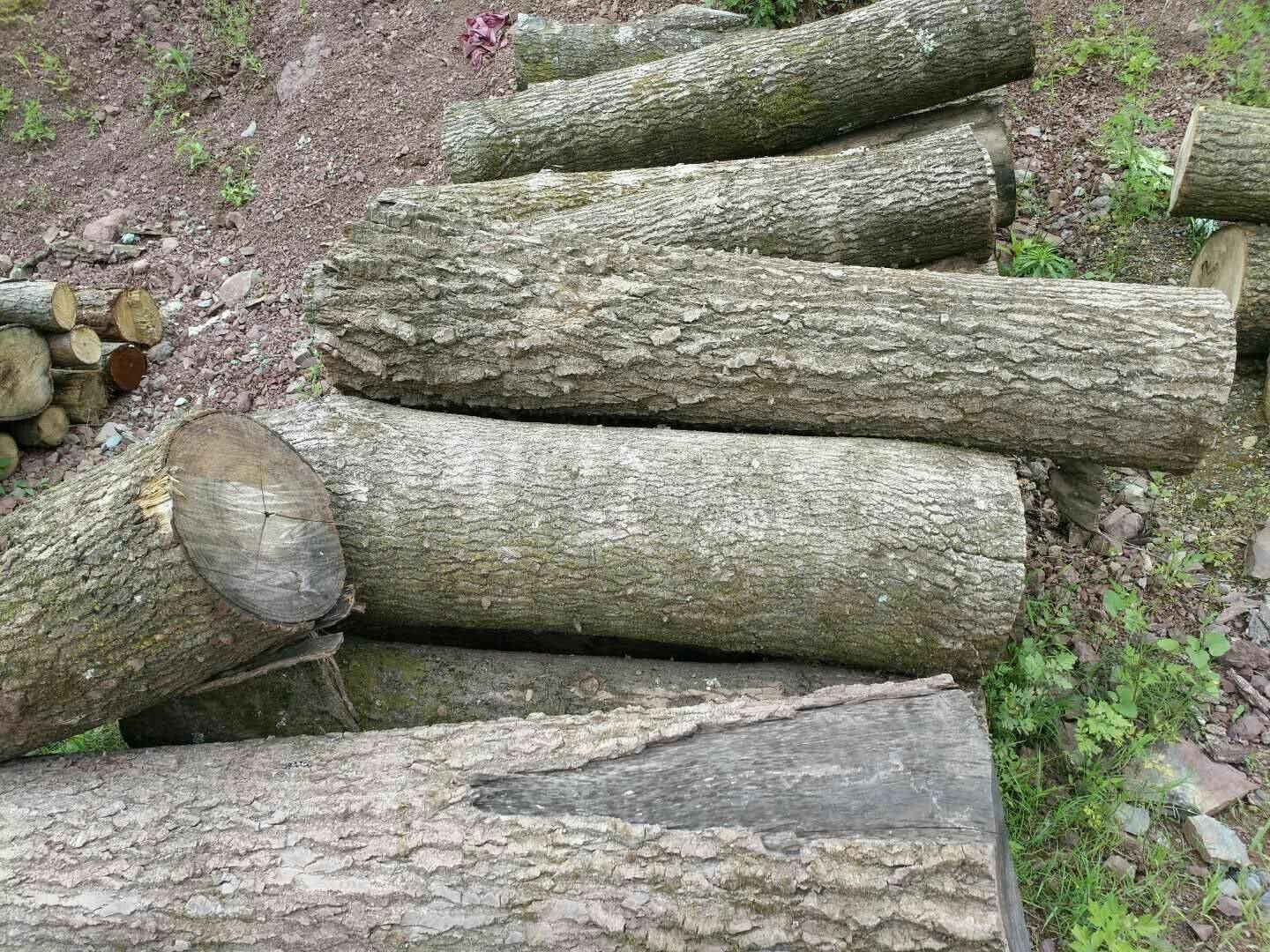 农村老木匠说,想要做出精美家具,4种木材千万别用,涨知识了