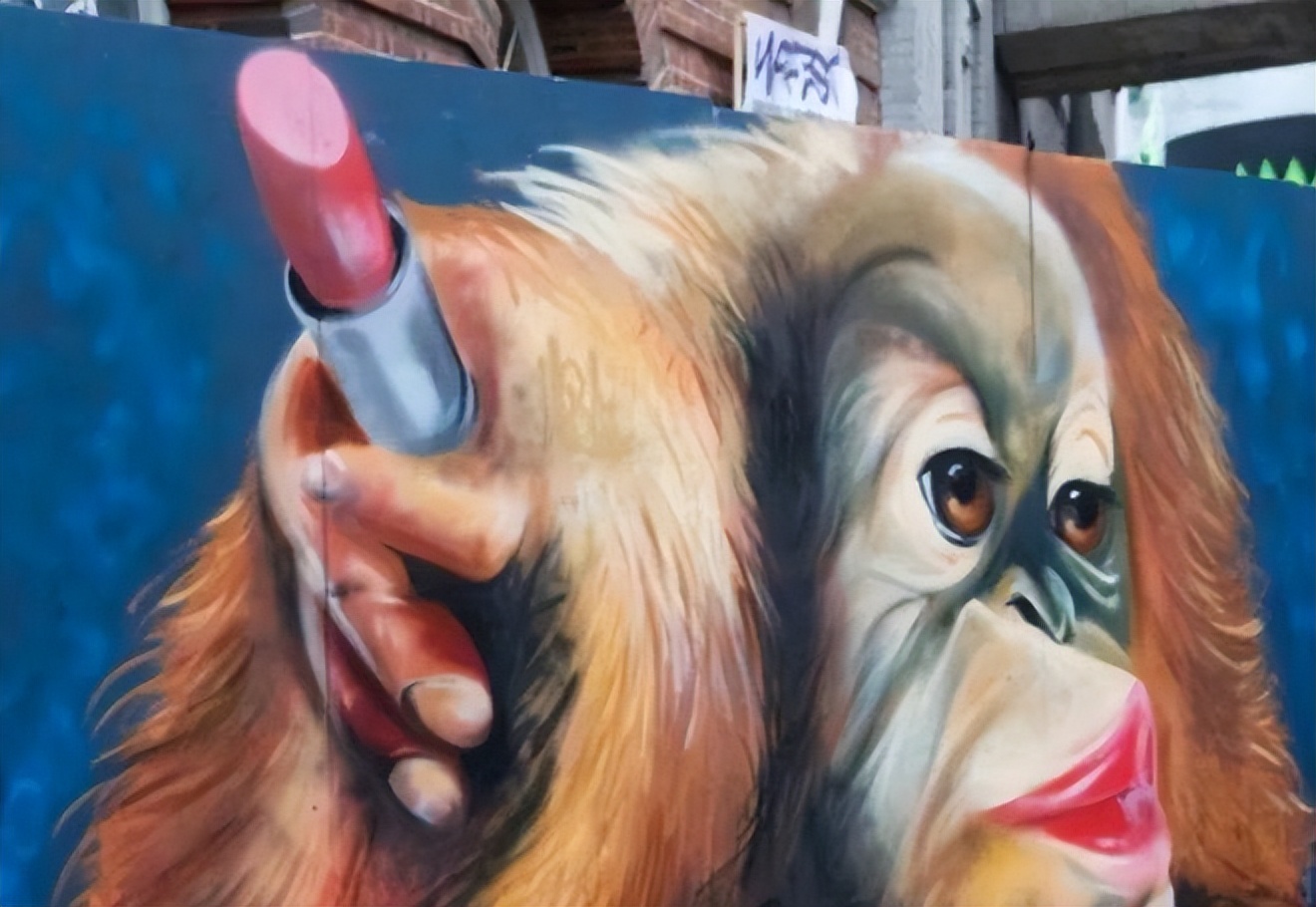 2003年,印尼一红毛猩猩遭囚禁,被迫化妆接客六年,只需要两英镑