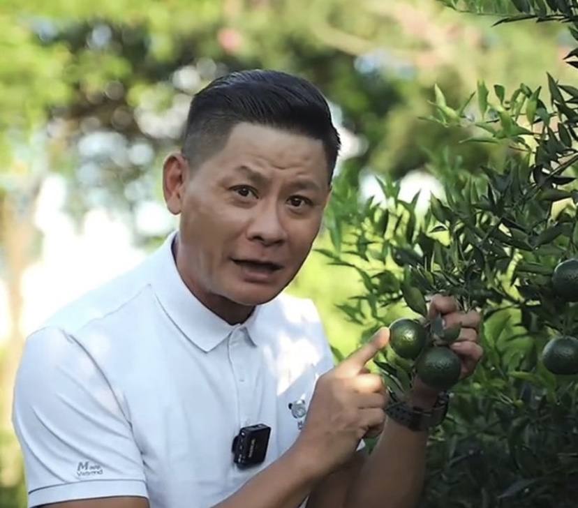 tvb绿叶林敬刚成隐形富豪,在内地开果园,每年产量高达160万斤