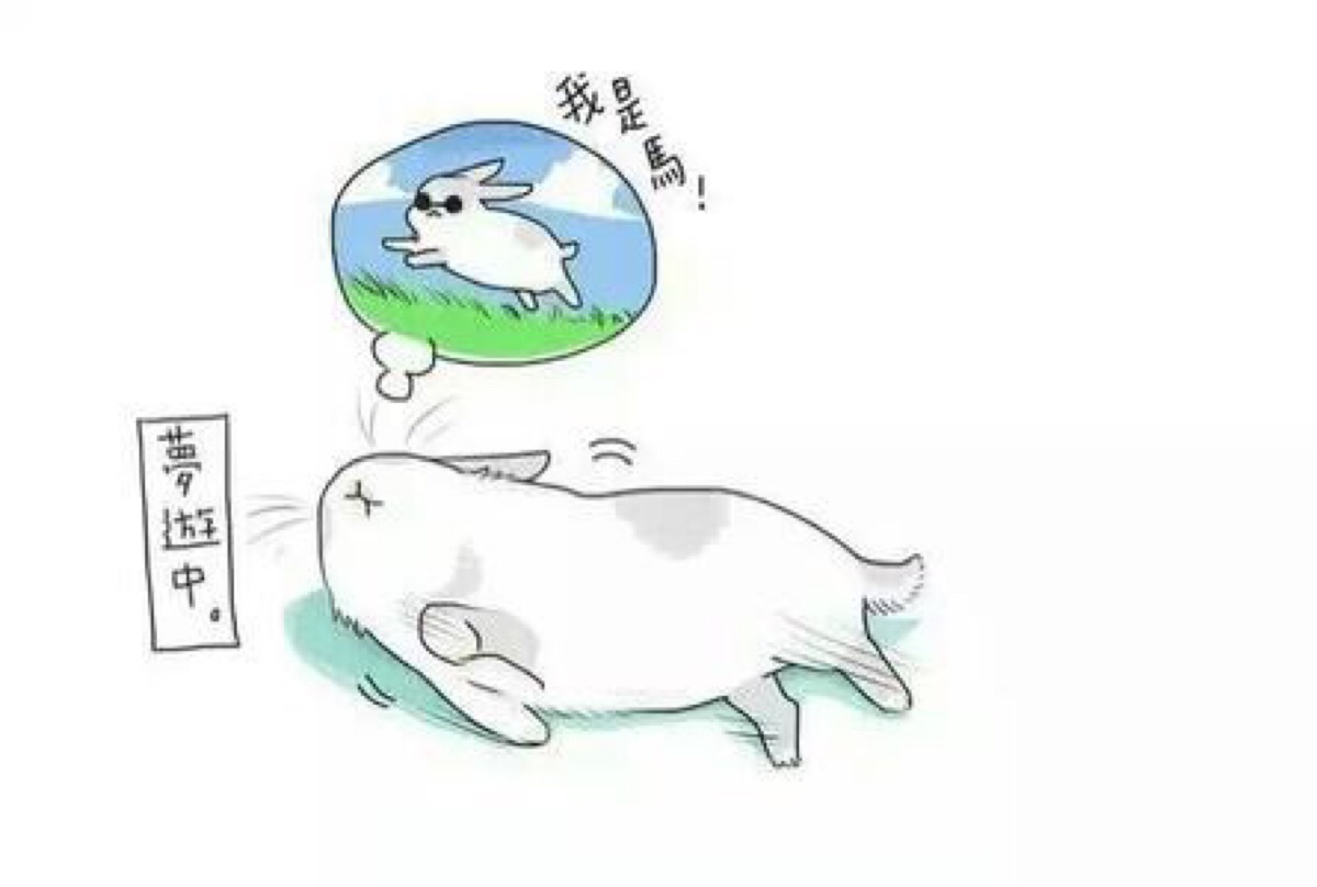 读了《周濂的100堂西方哲学课》,我想叫醒一些正在装睡的人