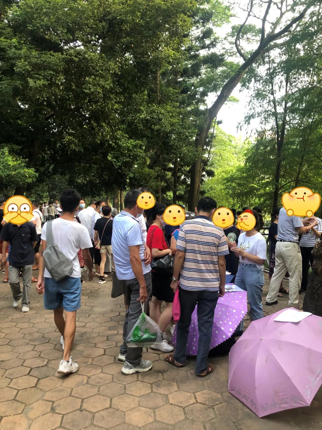 97年,女,去天河公園相親角,被廣東大媽一眼無情拆穿