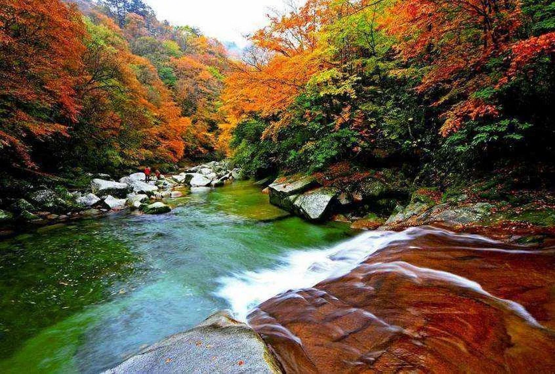 广元鼓城山自然保护区图片