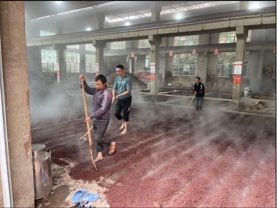 從官醞酒的下沙操作,揭秘醬香型白酒釀造工藝